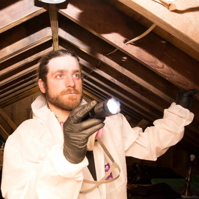 mold inspector in attic  mastertech environmental