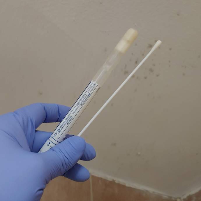 surface mold swab test  mastertech environmental