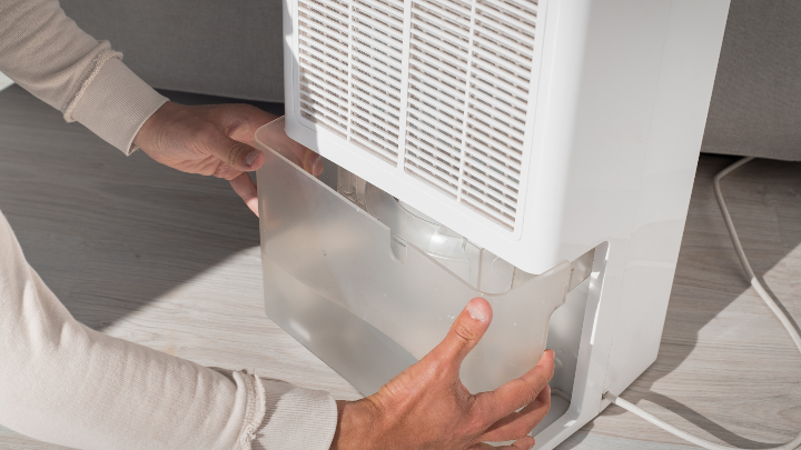Understanding How High Humidity Contributes to Mold Growth