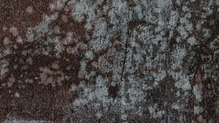 Strategies for Improving Indoor Air Quality and Mold Prevention