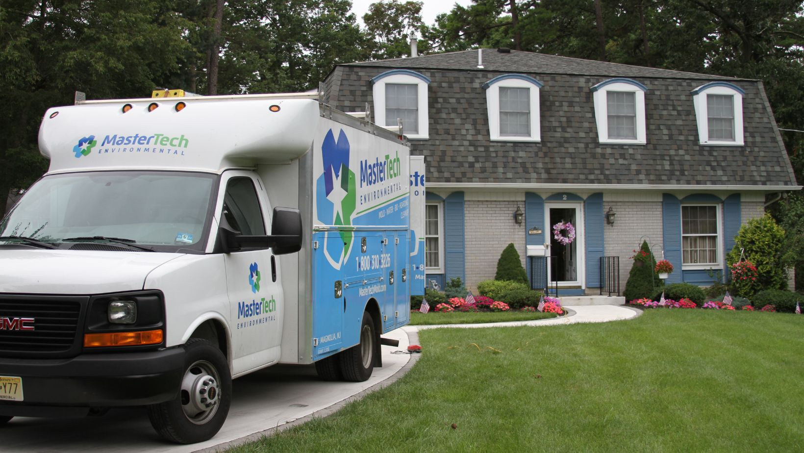 Benefits of Hiring a Professional Mold Removal Service