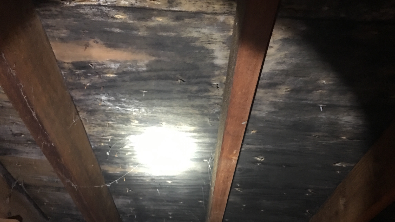 Proper Attic Insulation for Moisture and Condensation Prevention