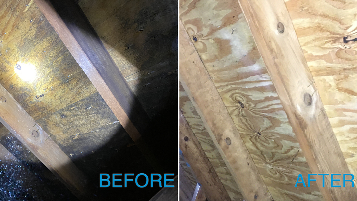 Attic Mold Before & After Remediation