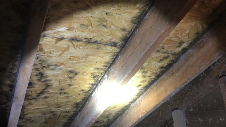 Tips for Preventing Attic Condensation and Mold