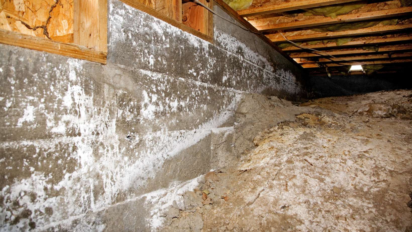 The Science Behind Crawl Space Moisture