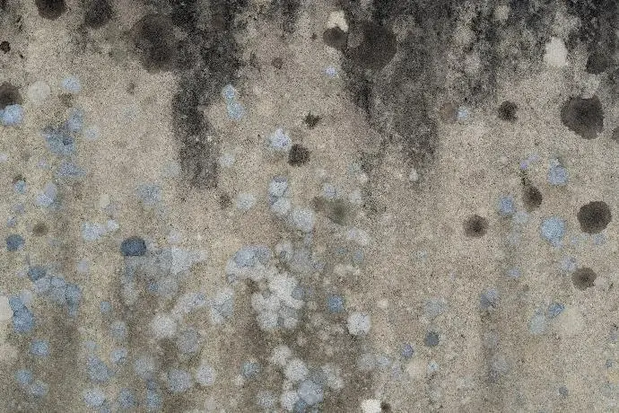 Mold removal and remediation icon for Mastertech Environmental in Orange County, CA.