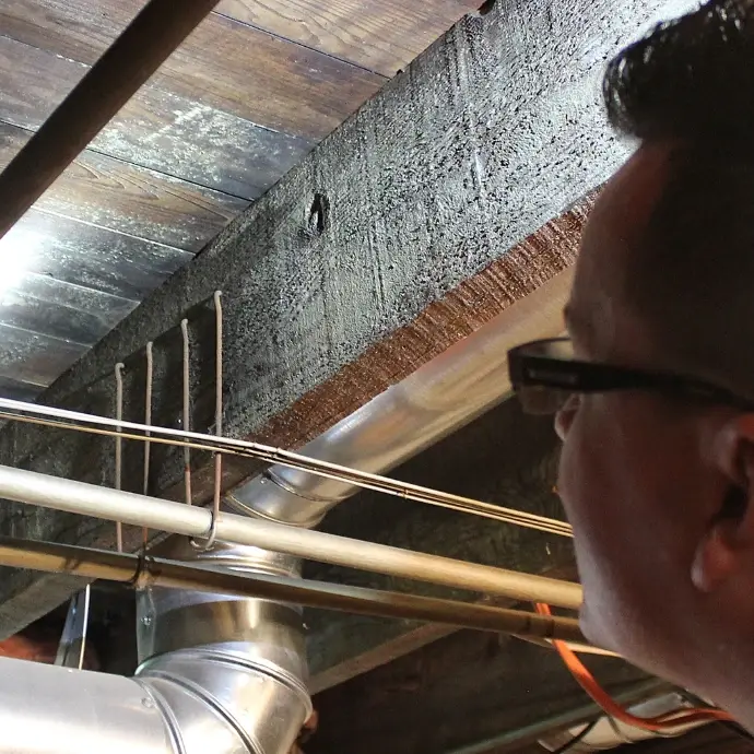 Mold testing and inspection icon for Mastertech Environmental in Orange County, CA.