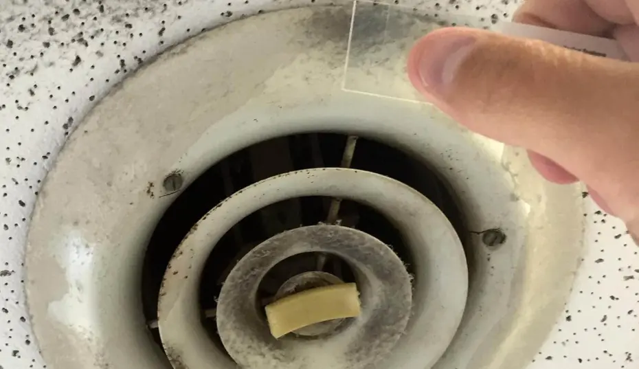 Moisture meter showing high readings after a plumbing leak—clear sign to schedule mold testing in Myrtle Beach, SC.