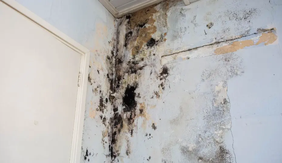 Soot-stained HVAC ductwork with residual moisture that can spread mold spores after a house fire in Anaheim, Orange County, CA.