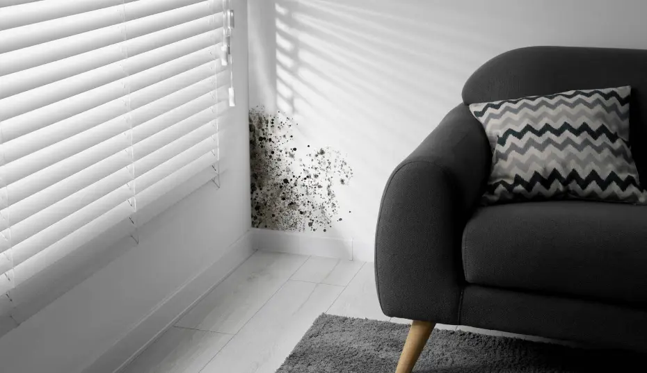 Persistent cough may point to hidden mold in Myrtle Beach homes.