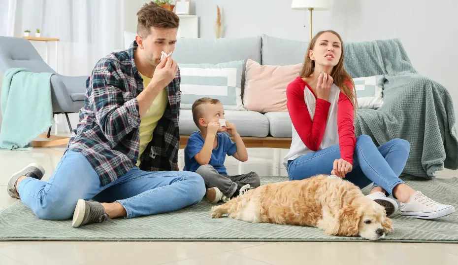 Sinus headaches and congestion can signal indoor mold issues.