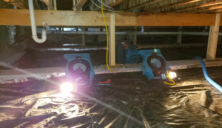 Hidden mold behind fiberglass insulation at the rim joist from trapped moisture in Virginia Beach, VA.