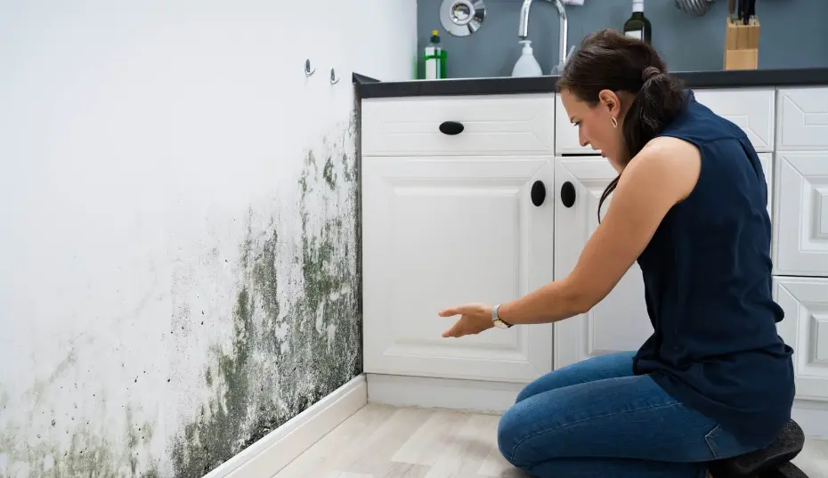 Mastertech Environmental performing bathroom mold removal with containment and HEPA filtration in Orange County, CA