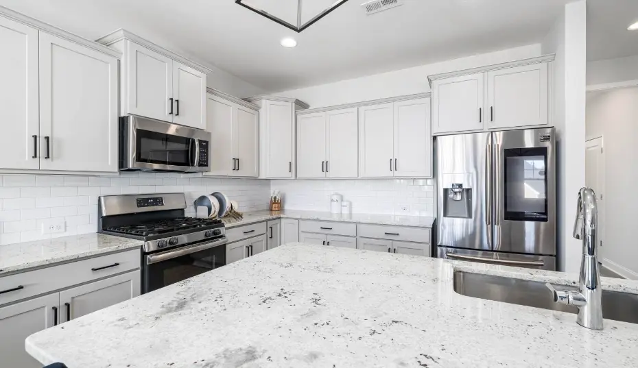 Dishwasher leak behind the toe-kick growing mold in an Anaheim kitchen—inspect hose and drain.