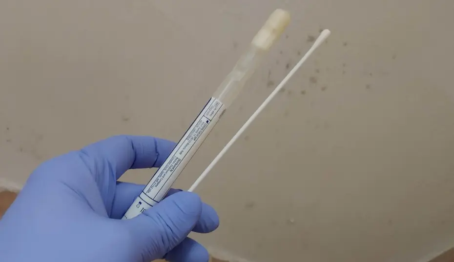 Late-summer humidity driving mold concerns—professional mold testing in Myrtle Beach, SC.