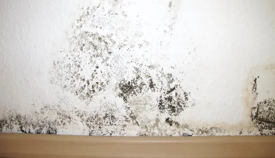 Sneezing and itchy eyes from indoor mold exposure in Myrtle Beach, SC homes.